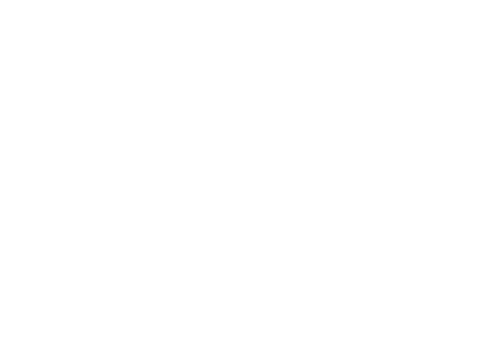 Silver Gym Logo